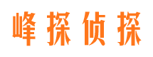 桥西市私家侦探